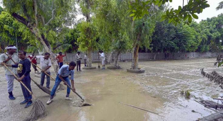 Delhi forest dept team formed for snakes in flood-hit areas